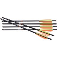 Aluminum Crossbow Arrows (6 pack) [400 gr., 16” Crossbow Arrows (Model: AXAA166PK)]