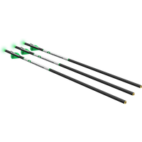 Carbon Arrows - 3pk [With Lighted Half-Moon Nocks]